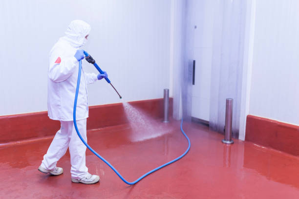 Best Rust Removal  in Finderne, NJ